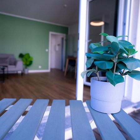 Design Apartment - Balkon - Induktionskochfeld - Zentral ドレスデン エクステリア 写真